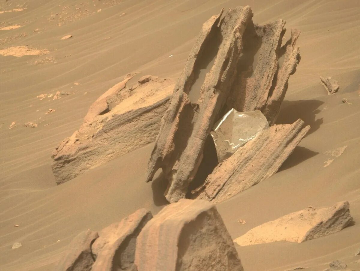 Mars 2025. Nasa марс 2025. новые снимки с марса 2025. жизнь на марсе. последние фотографии с марса 2025 года.