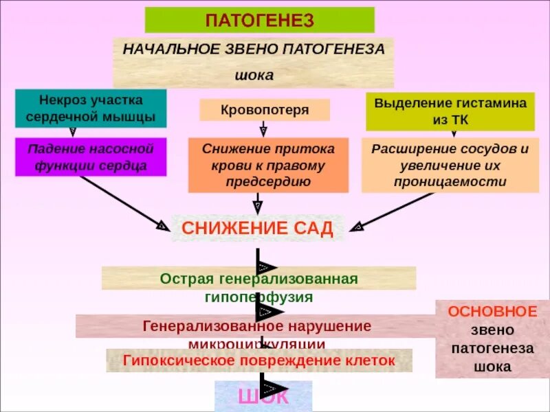 Патогенез анафилактического шока схема. Патогенез. Звено патогенеза. Начальное звено патогенеза. Ключевое звено патогенеза. Анафилактический шок патогенез