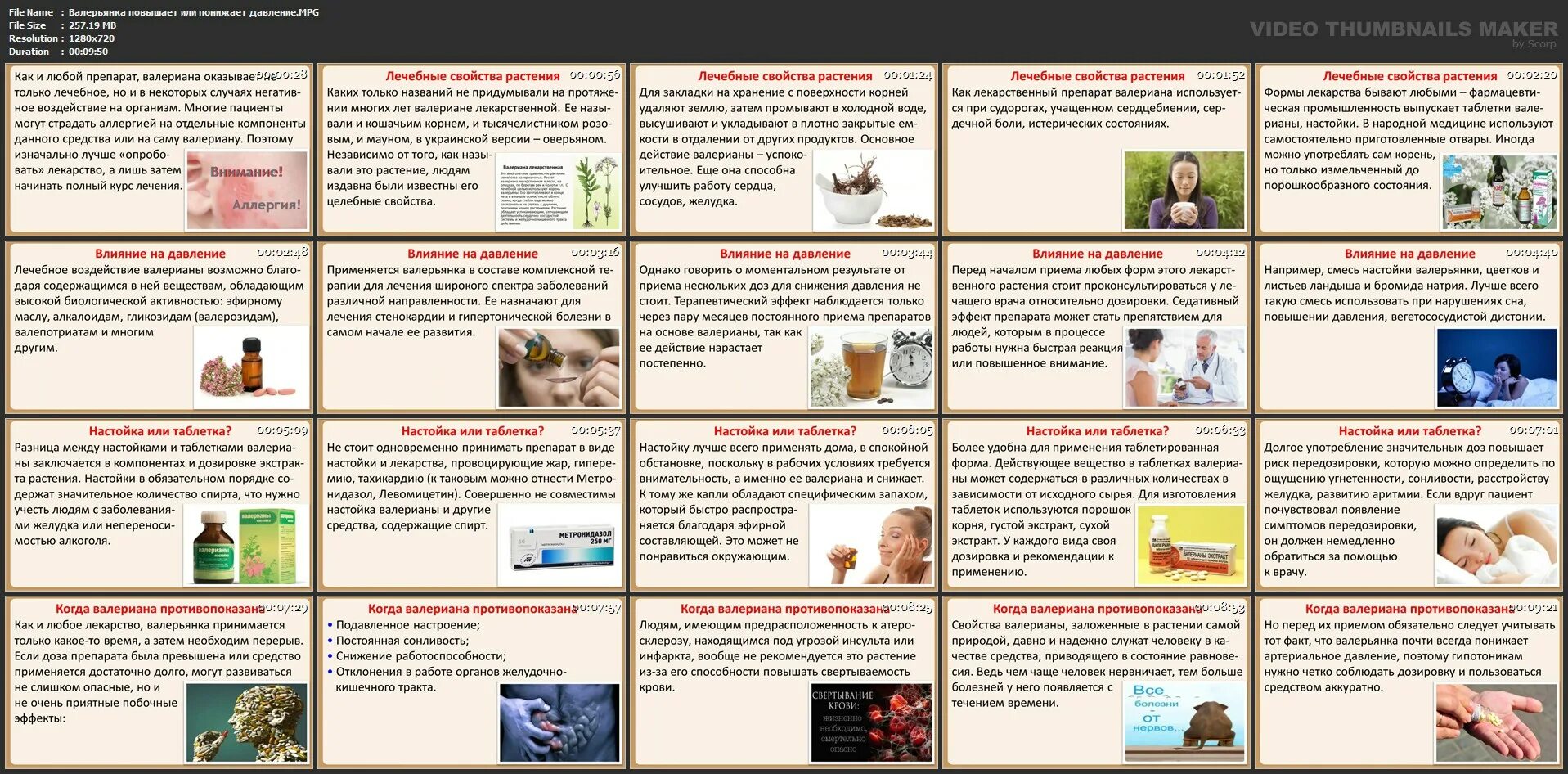 Валерьяна полезные свойства. Валерьянка в таблетках состав. Капсулы валерианы. Фармакологические эффекты валерианы. Валерьянка снижает давление.