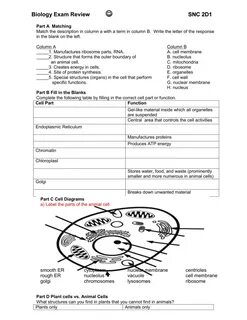 Grade biology