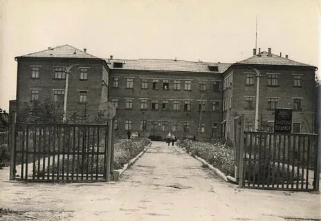 Шаховские архив