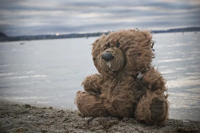 Плюшевый мишка. Медведь Тедди. Одинокий медведь. Одинокий плюшевый мишка.