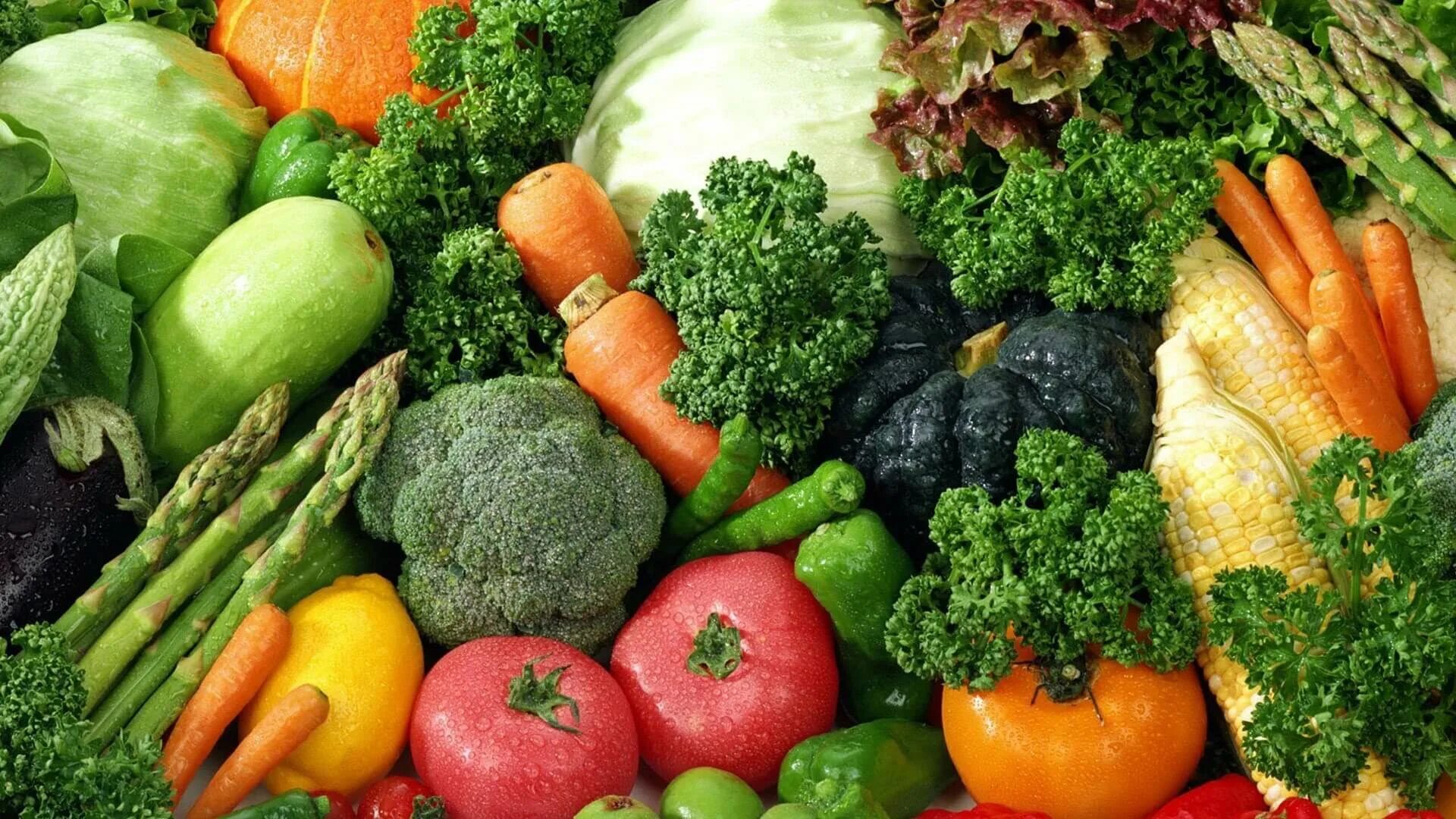 Самые богатые овощи. Овощи. Продукты овощи. Овощи разные. Овощи и зелень.