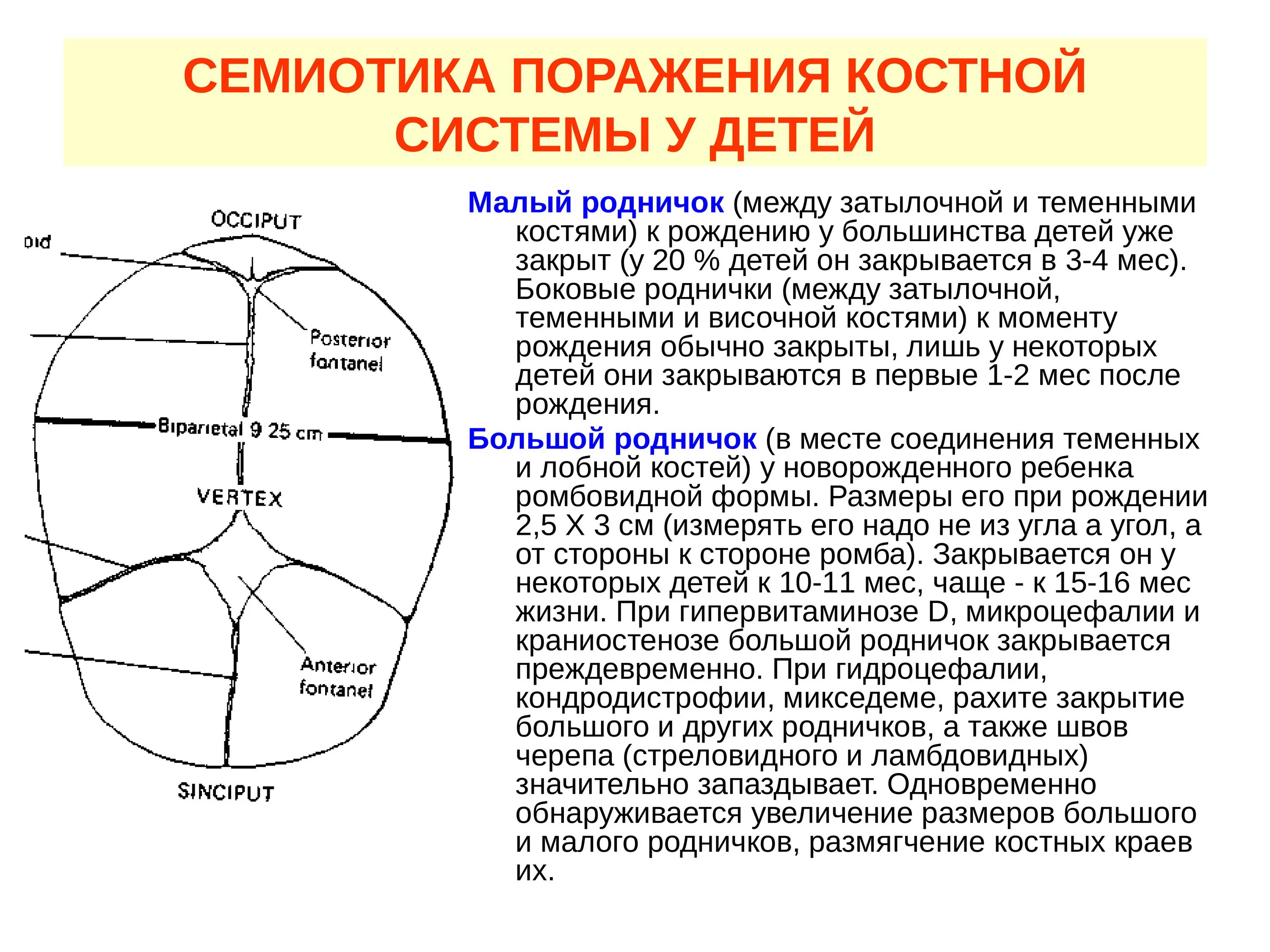 Сроки закрытия родничков и швов черепа ребенка. Малый Родничок у новорожденных Размеры. Сроки закрытия большого родничка у детей. Сроки закрытия родничков.