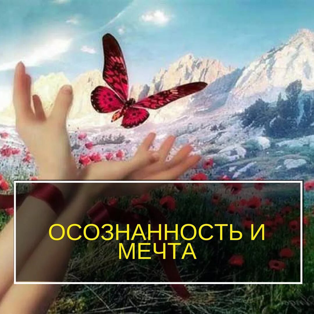 человек с раскинутыми руками. солнце радость. ощущение счастья и радости. радость жизни. необычные фотосессии.