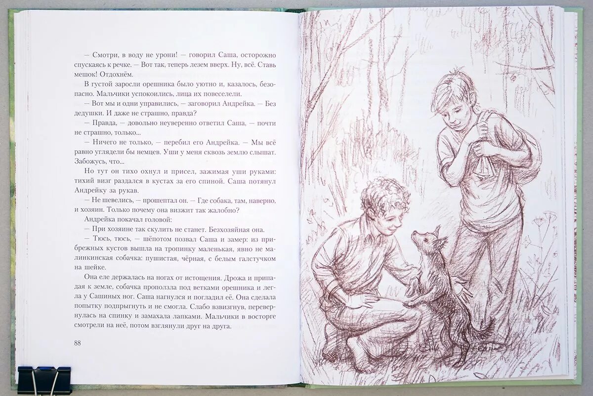 Новые робинзоны содержание. Книга радзиевская болотные робинзоны. радзиевская с. б. «болотные робинзоны» герои. болотные робинзоны книга иллюстрации. иллюстрация к повести болотные робинзоны.