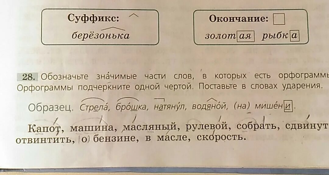 Обозначьте значимые части слов в которых есть орфограммы. Обозначьте значимые части слова в которых есть. Орфограммы в слове капот машина. Капот машина масляный рулевой собрать сдвинуть. Орфограмма слова начинает