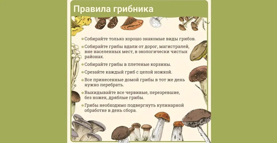 Собирать грибы перевод на английский