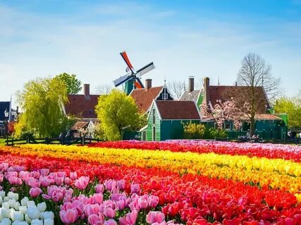 Holland страна