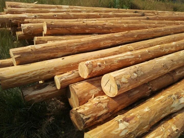 Куплю деревянные опоры. Опоры деревянные пропитанные 160-180 11 метров вес.