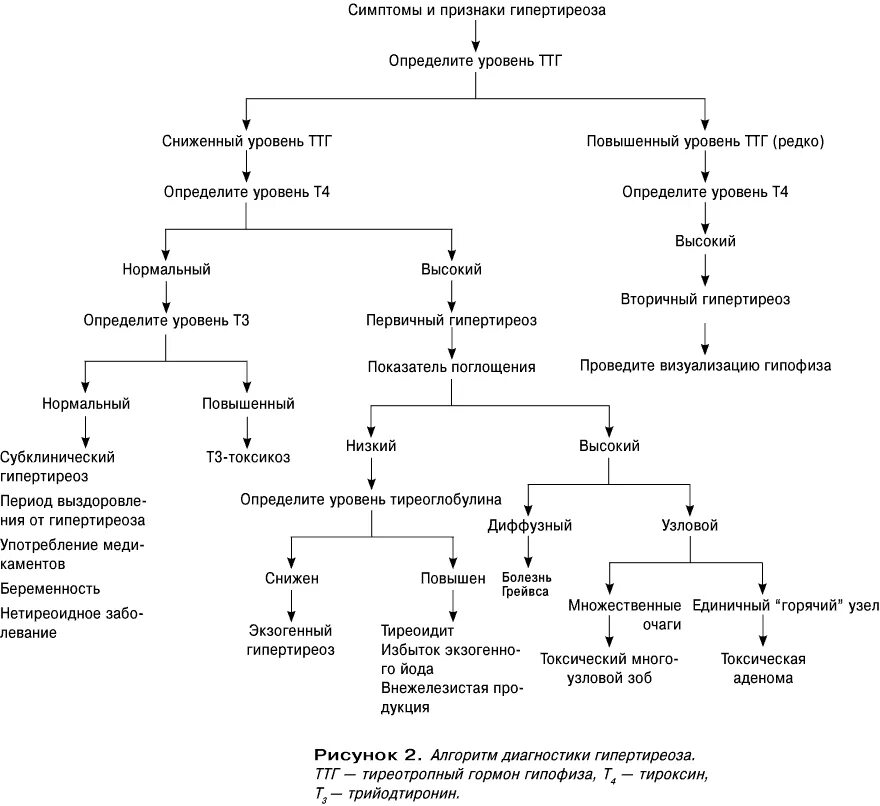 Ттг повышен это гипотиреоз. Алгоритм диагностики гипотиреоза схема. Алгоритм диагностики гипотиреоза у детей схема. Дифференциальная диагностика тиреотоксикоза и гипотиреоза. Дифференциальная диагностика гипотиреоза и гипертиреоза.