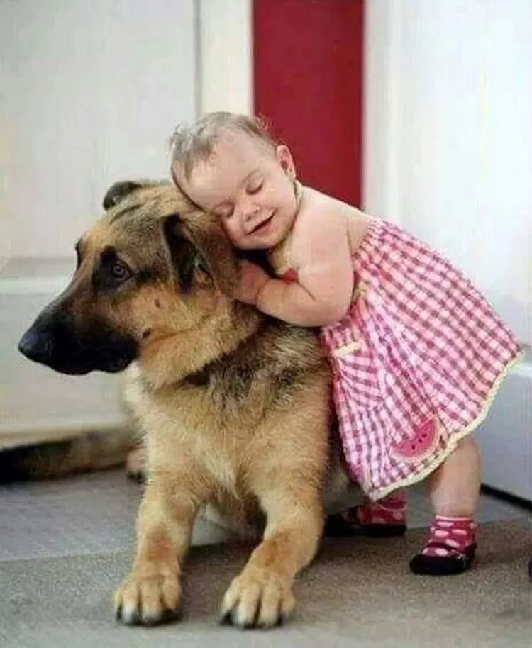 Жена хочу собаку