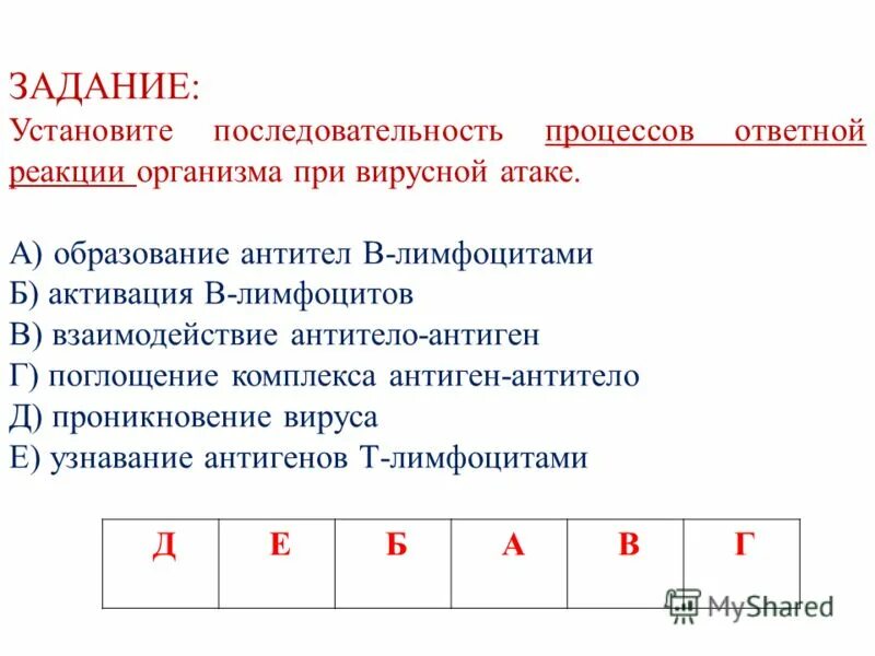 Клеточный и гуморальный иммунный ответ схема. Последовательность процессов при вирусной атаке. Последовательность жизненного цикла вируса рнк. Противовирусный иммунный ответ иммунология. Полимеразная цепная реакция с обратной транскрипцией.
