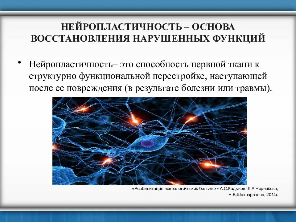 Мозг пластичен. Нейропластичность. Нейропластичность мозга. Нейронные феномены пластичности.. Виды нейропластичности.