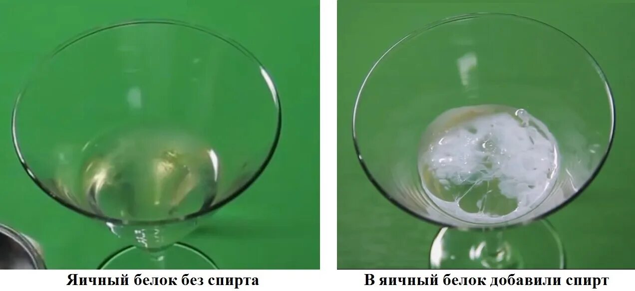 Капля воды и спирта. Денатурация белка эксперимент. Влияние спирта на белок. Опыт с белком яйца.
