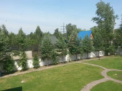 Московская обл мытищи грибки