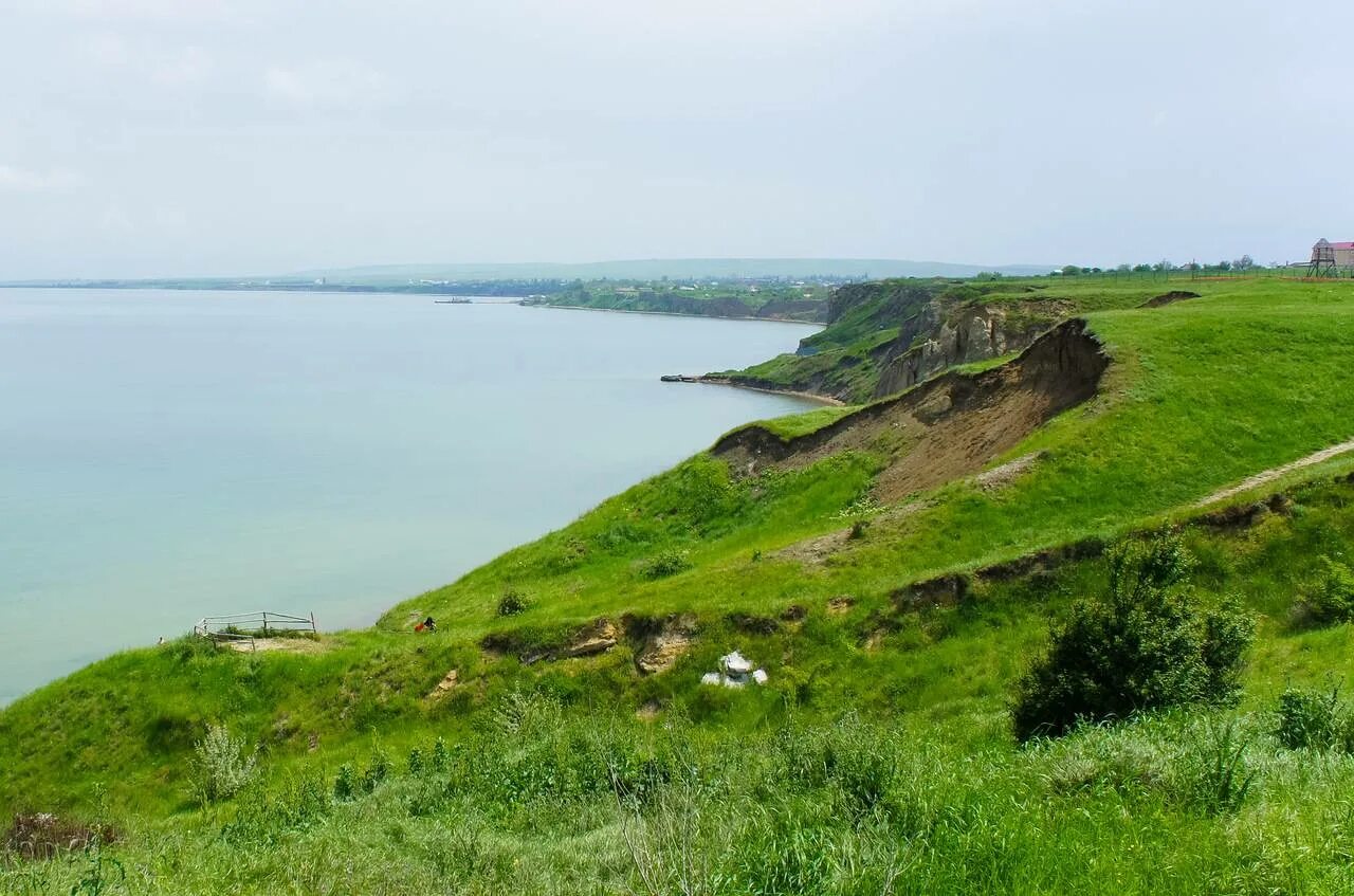 Природа Таманского полуострова. Тамань Краснодарский край. Полуостров Тамань Краснодарский край. Таманский полуостров  Краснодарский край природа. Остров тамань