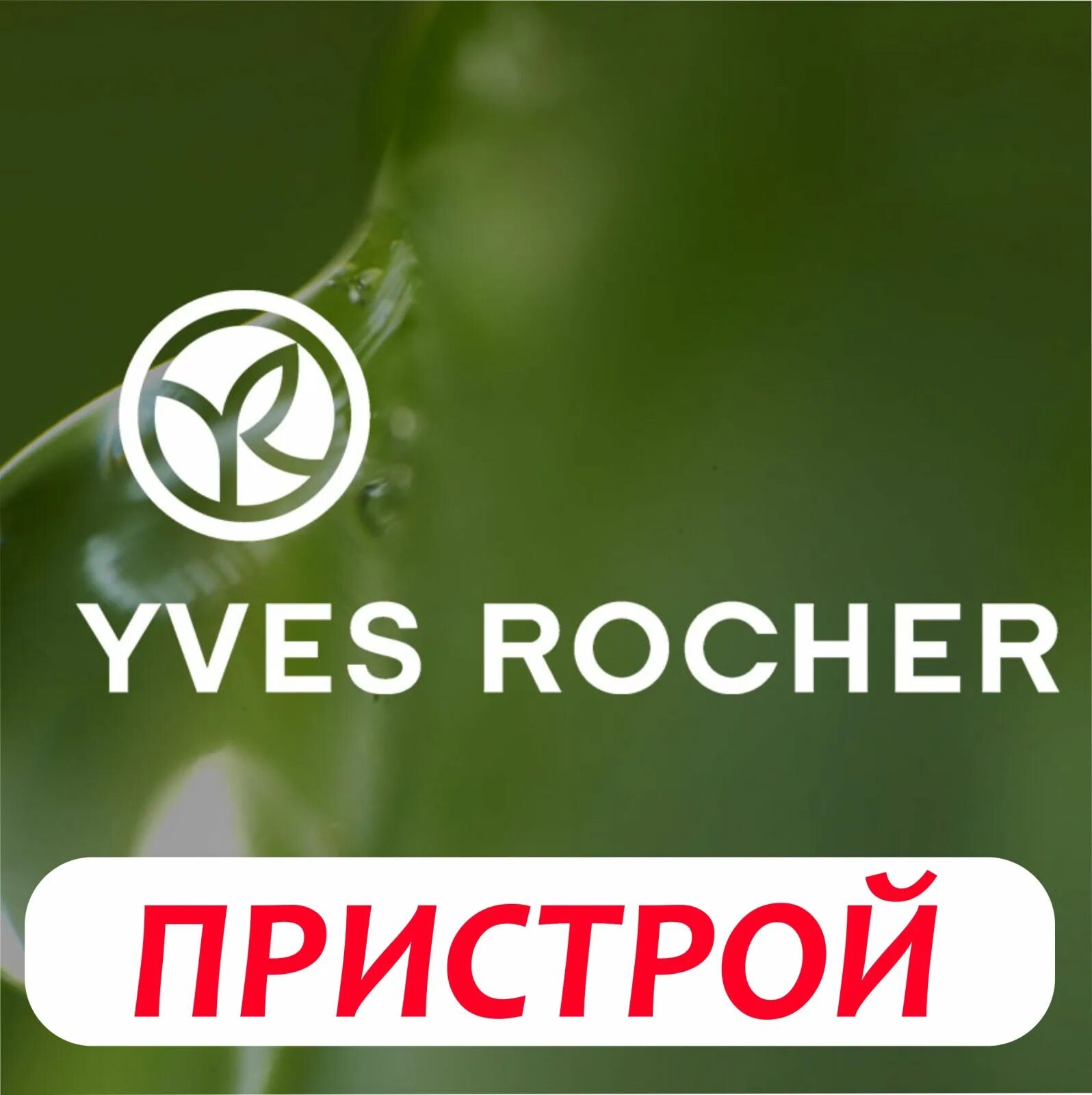 Ив роше сентябрь 2025. Ив роше. ив роше картинки. ив роше реклама.