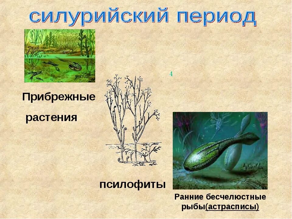 Силурийский период палеозойской эры растения. Силурийский период палеозойской эры. Силур бесчелюстные. Палеозой Силур Возраст. Климат в жизни животных и растений рисунки