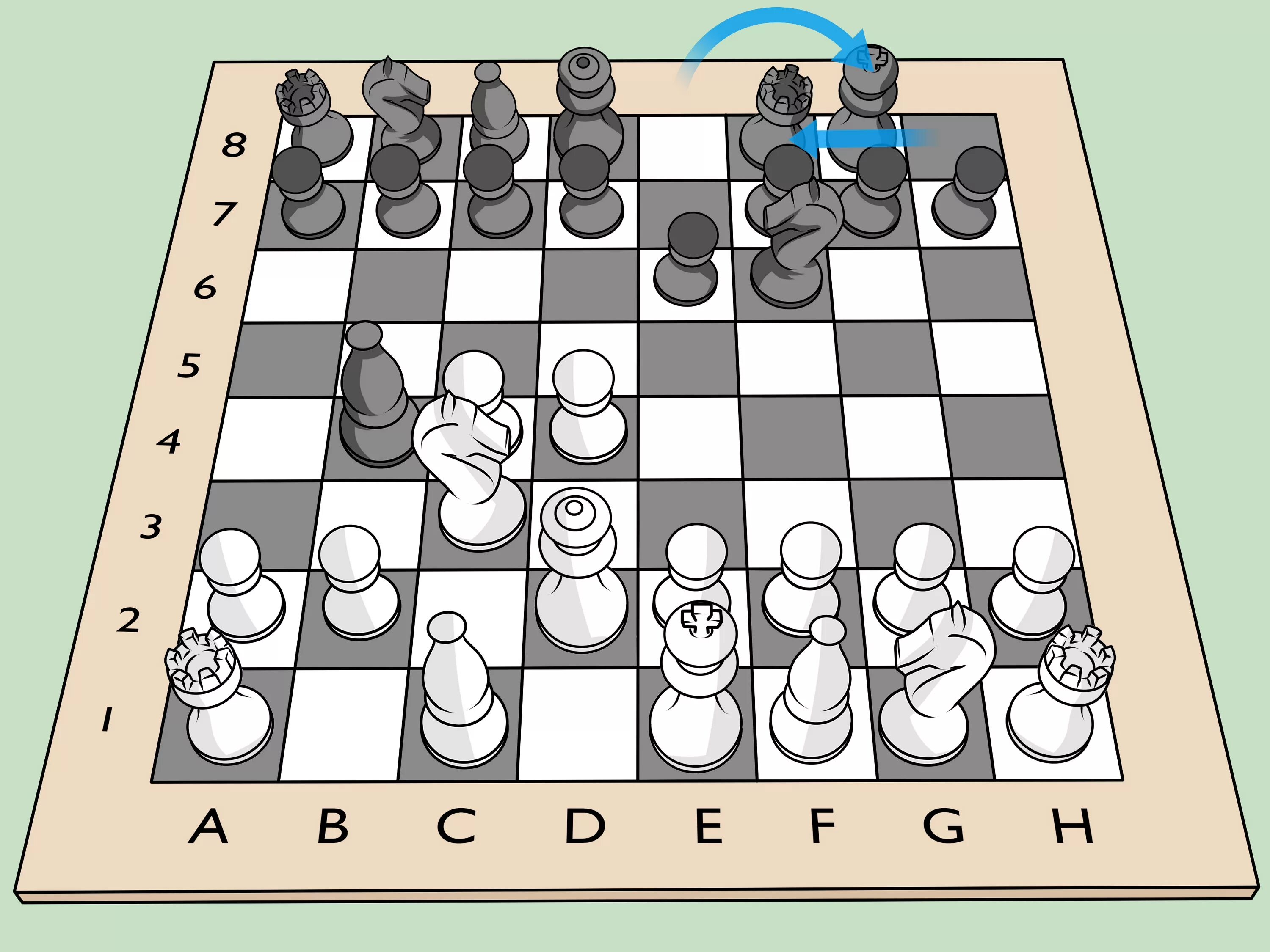 Игра черно белые камни на доске. Расстановка шахматных фигур Король. Расстановка шахматных фигур на доске. Правильная расстановка фигур на шахматной доске. Расположение шахмат на доске.