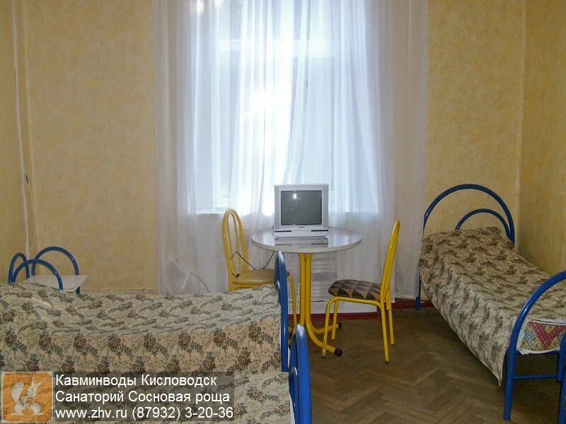 кисловодск детский санаторий сосновая роща. санаторий роща кисловодск. кисловодск санаторий сосновая роща фото. санаторий сосновая роща кисловодск дискотека. сосновая роща кисловодск.