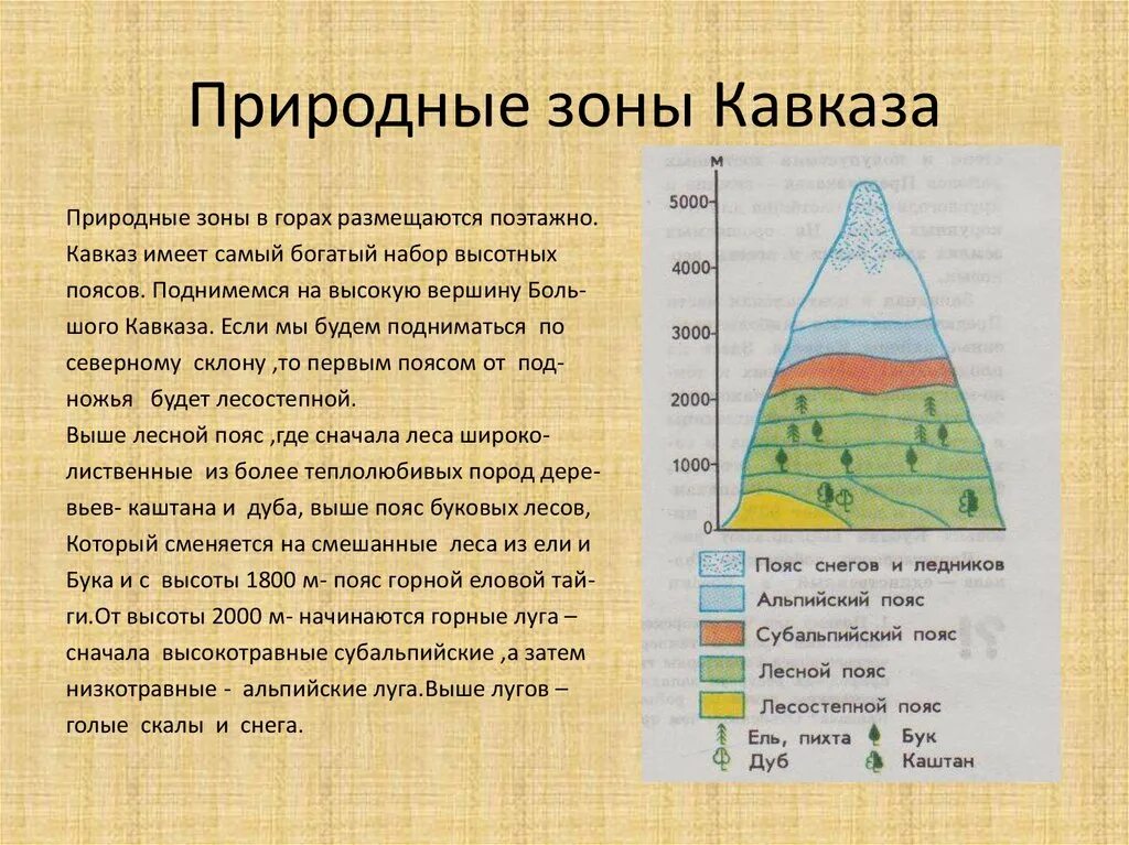 Природные зоны кавказа и урала