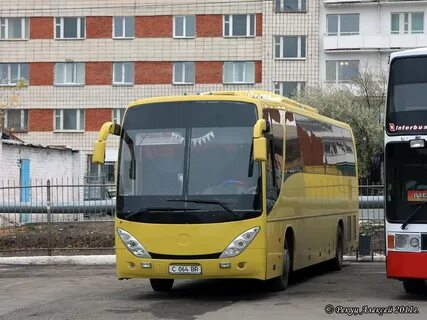 Омск астана автобус