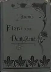 1900 1907. Чехов дядя Ваня книга. Небо, ангела, дядя Ваня, Чехов.