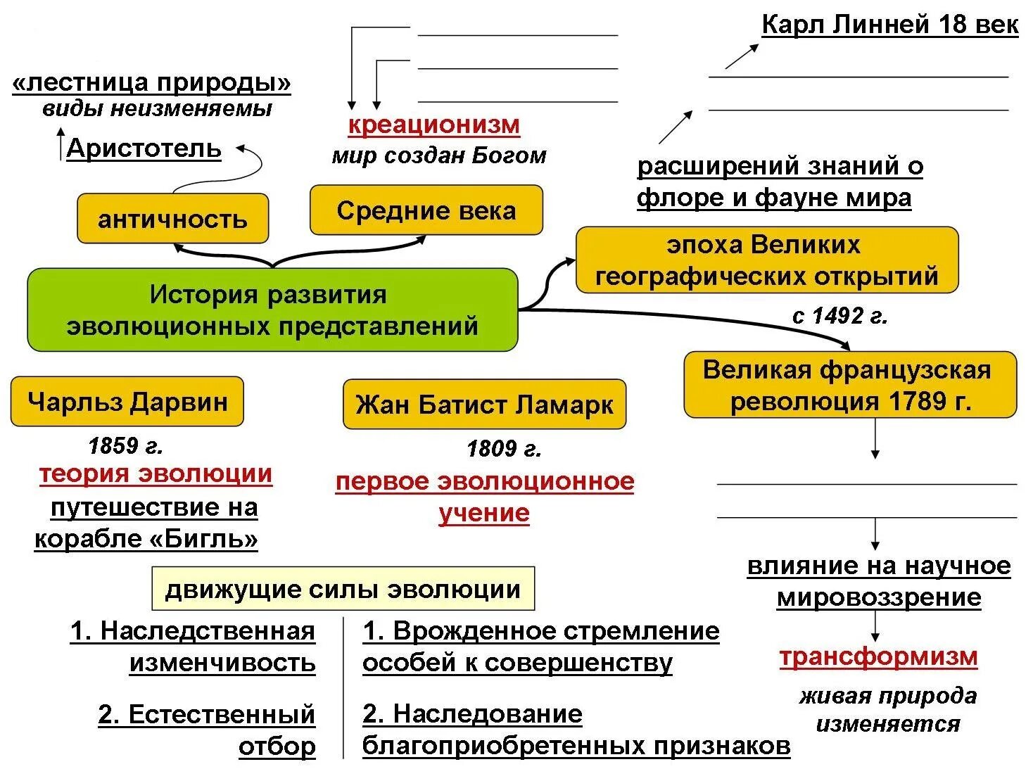 Эволюционная теория. Этапы развития эволюционных идей в биологии. Теория Дарвина схема. Эволюционные теории в биологии.