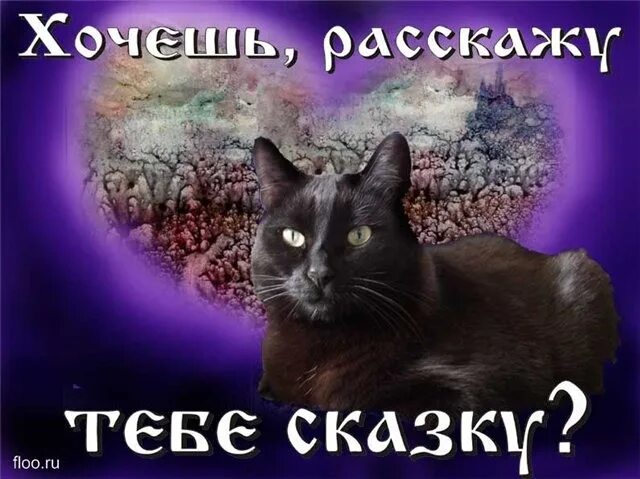 хочется сказки. сказочные события. давай сказку хочу. давай сказку хочу. как хочется сказки.