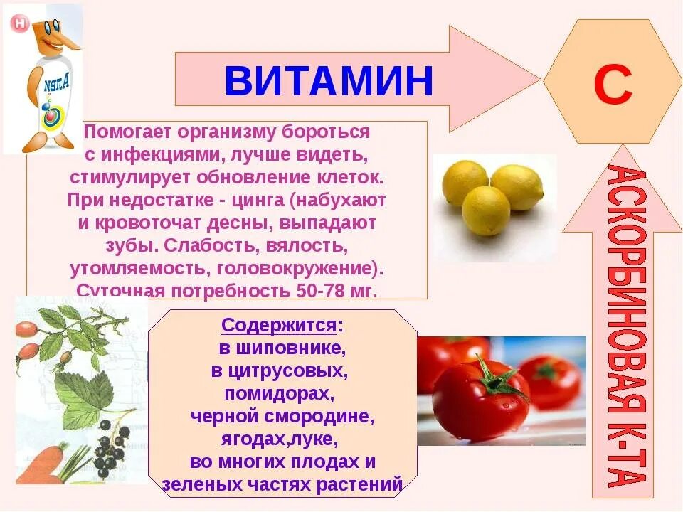 Для чего нужен витамин с. Доклад о витаминах 8 класс по биологии кратко. Витамины доклад по биологии 8 класс. Доклад о витаминах 9 класс биология. Презентация на тему витамины.