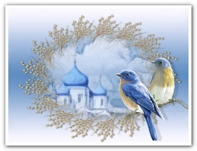 Вербное воскресенье рисунок. Птицы на фоне храма. Открытка с вербочкой. Открытки с вербой и Церковью.