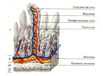 Ворсинки цифра 2