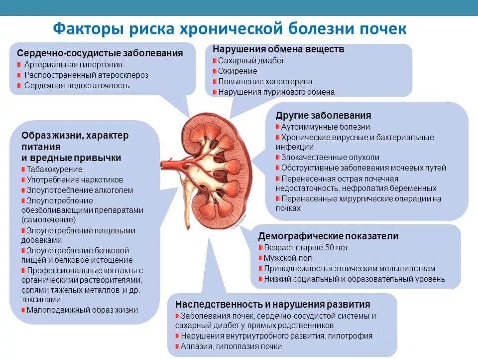 Воспаление почки симптомы и лечение у мужчин. Хронический пиелонефрит факторы риска развития заболевания. Хроническая болезнь почек факторы риска. Факторы риска почечной недостаточности. Факторы риска возникновения пиелонефрита.