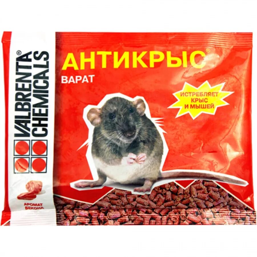 Экспериментатор поместил домовую мышь