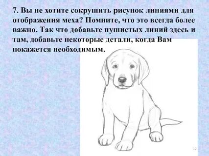 Нарисовать животное и описать его