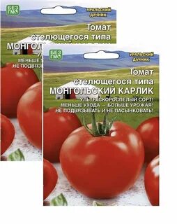 Томат дачник описание отзывы