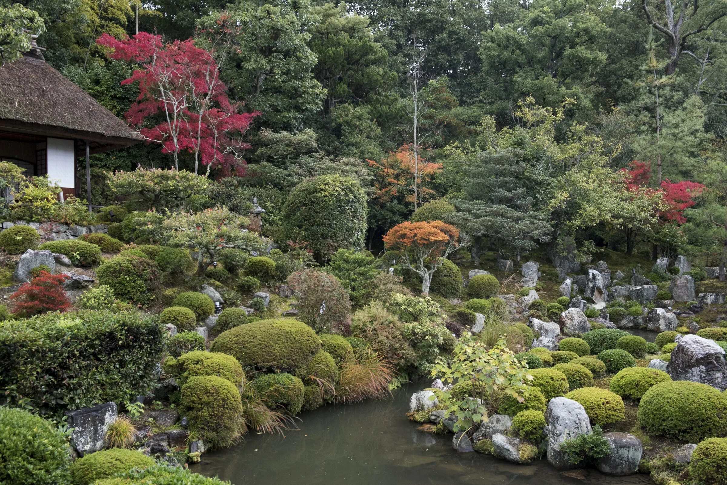 Парк Киото Япония. Киото Япония парк камней. Сады Киото Япония. Ботанический сад Киото затонувший сад. Сады времен значение