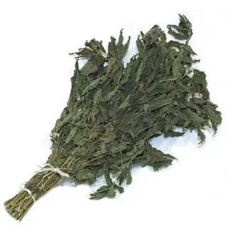 Веник из крапивы