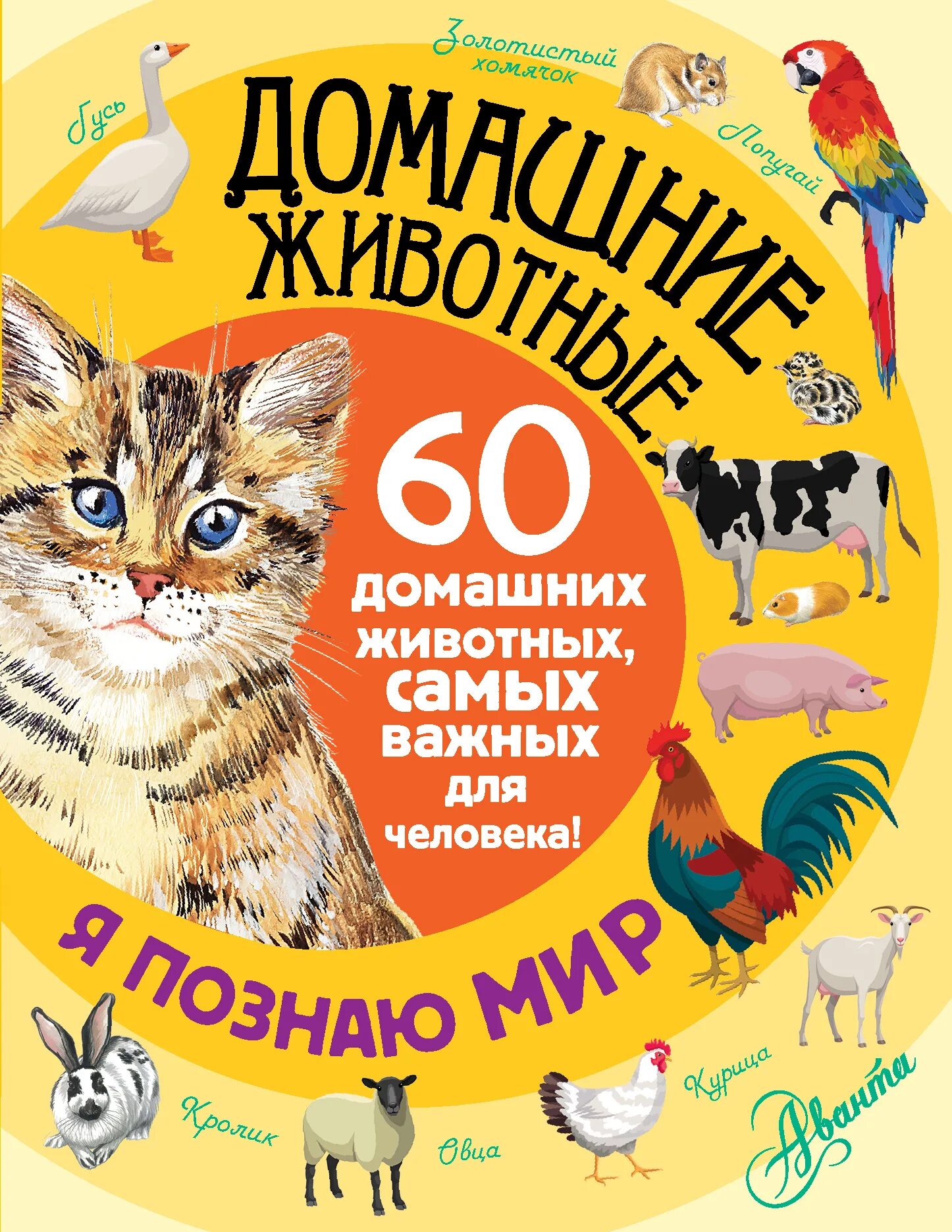 Книги о домашних животных читать. Книши о домашних животных. Книги о домашних животных. Книге одамашних жывотных. Книги о домашнизживотных.