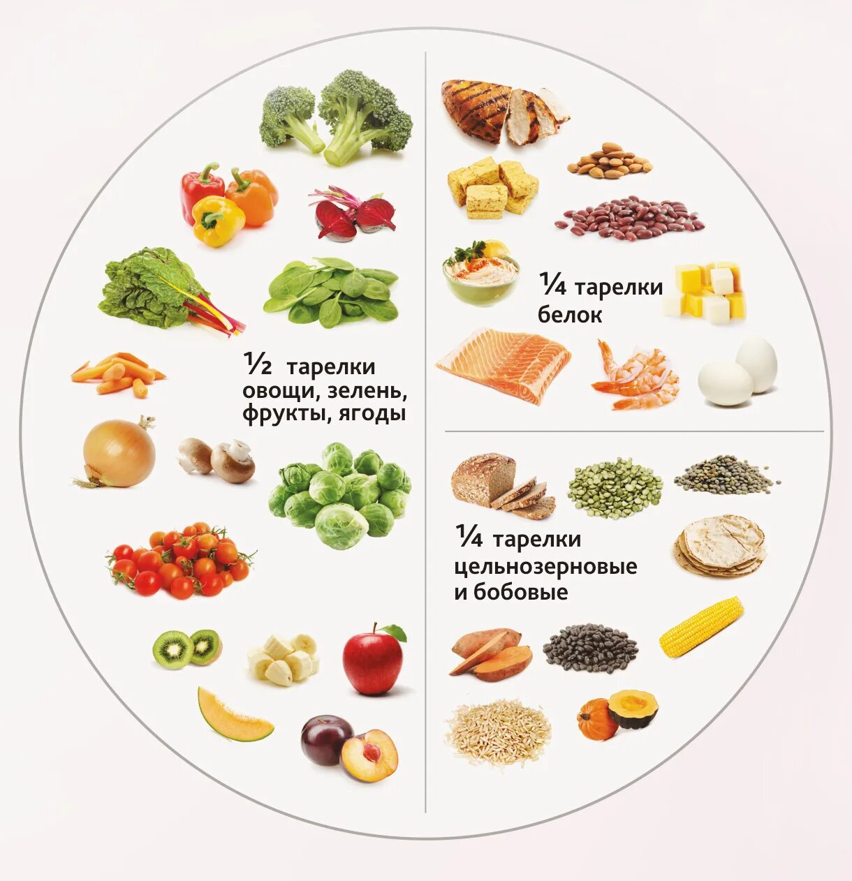 Какие полезные продукты нужно есть. Тарелка правильного питания. Тарелка правильного питания для детей. Тарелка сбалансированного питания. Питание по правильной тарелке.