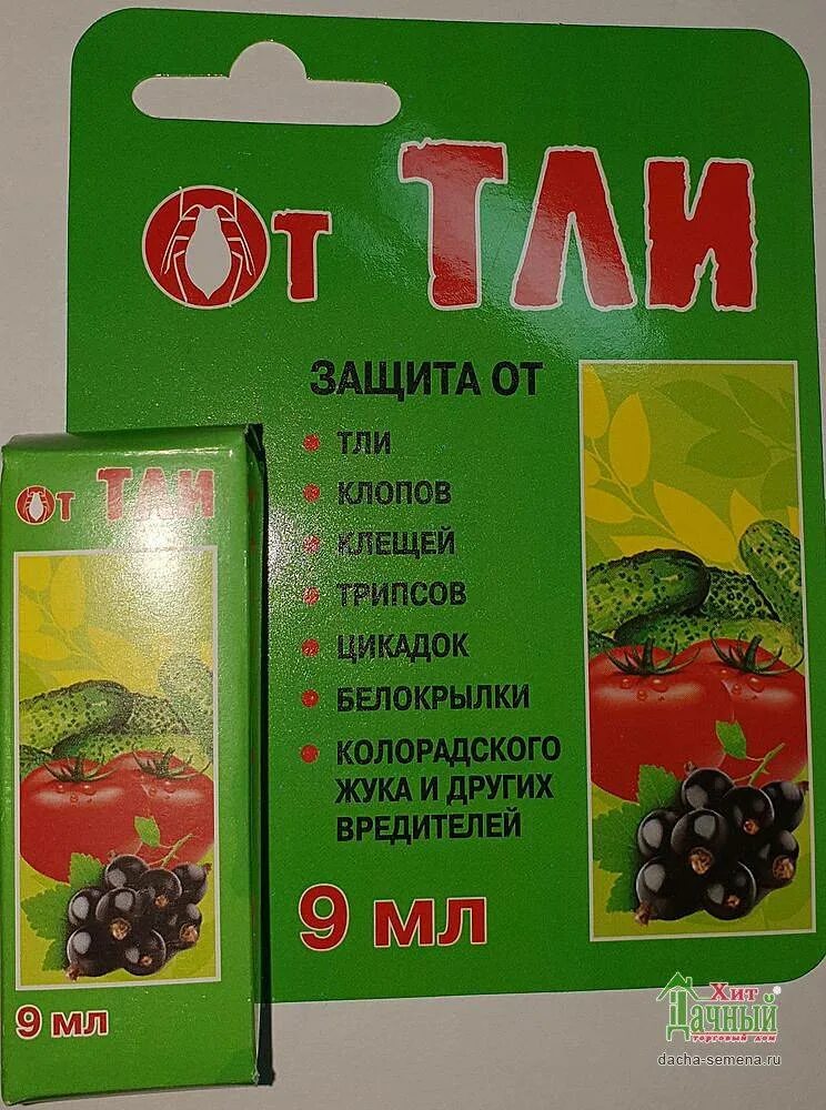 Самое эффективное средство от тли. Препараты от тли. инсектицид от тли. препараты от тли и колорадского жука. средство от тли на кустарниках.