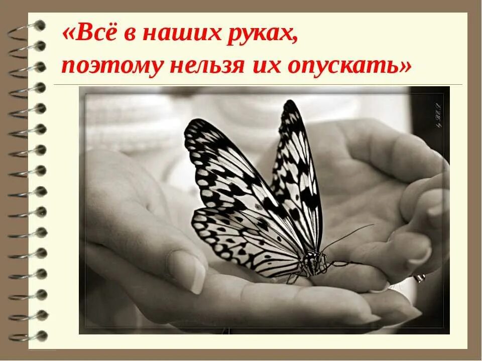 Бабочки в жизни людей. Высказывания о бабочках. Афоризмы про бабочек. Фразы про бабочек. Цитаты про бабочек.