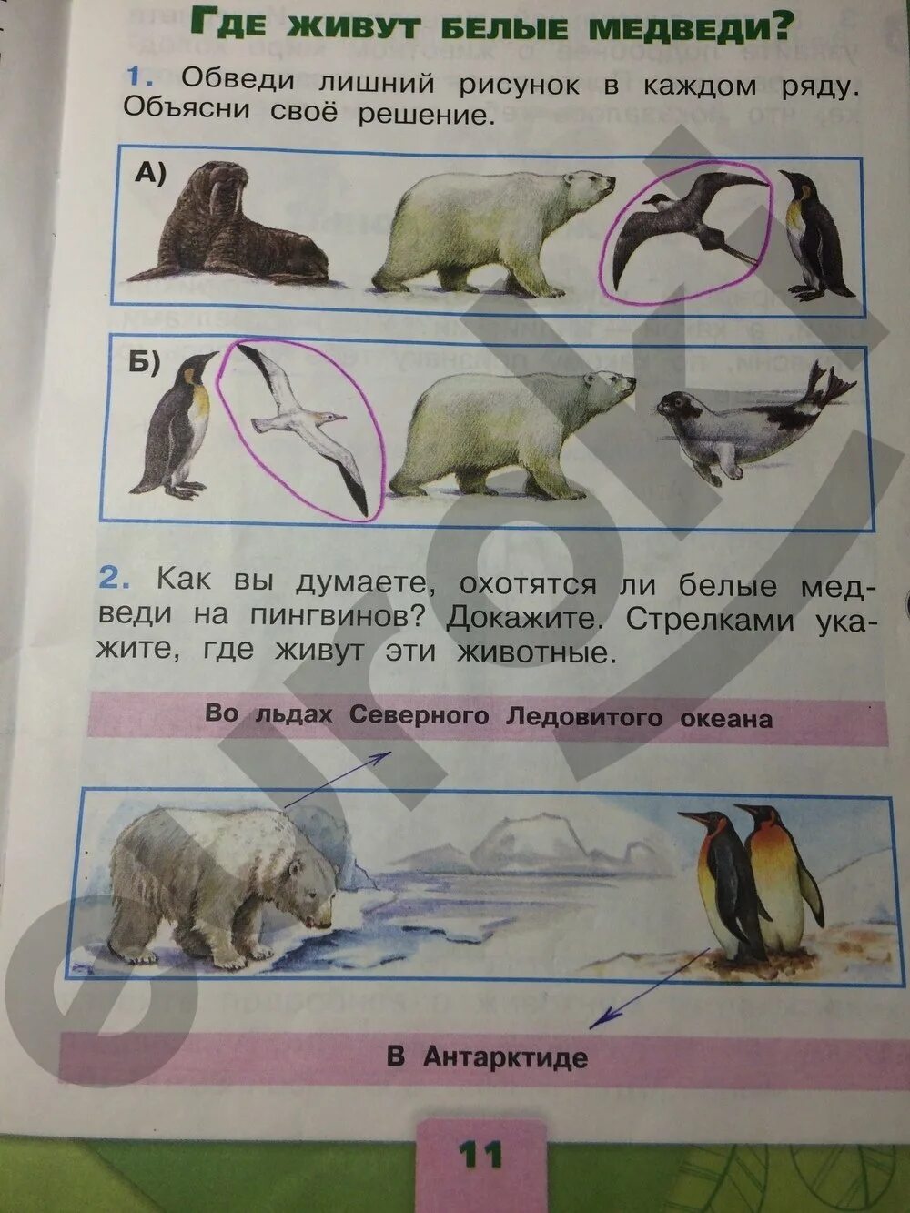 Окр мир стр 59. Окружающий мир 1 класс рабочая тетрадь стр 9 ответы. Окружающий мир 1 класс рабочая тетрадь стр 9. Окружающий мир 1 класс рабочая тетрадь 1 часть стр 9. Гдз по окружающему миру 1 класс.