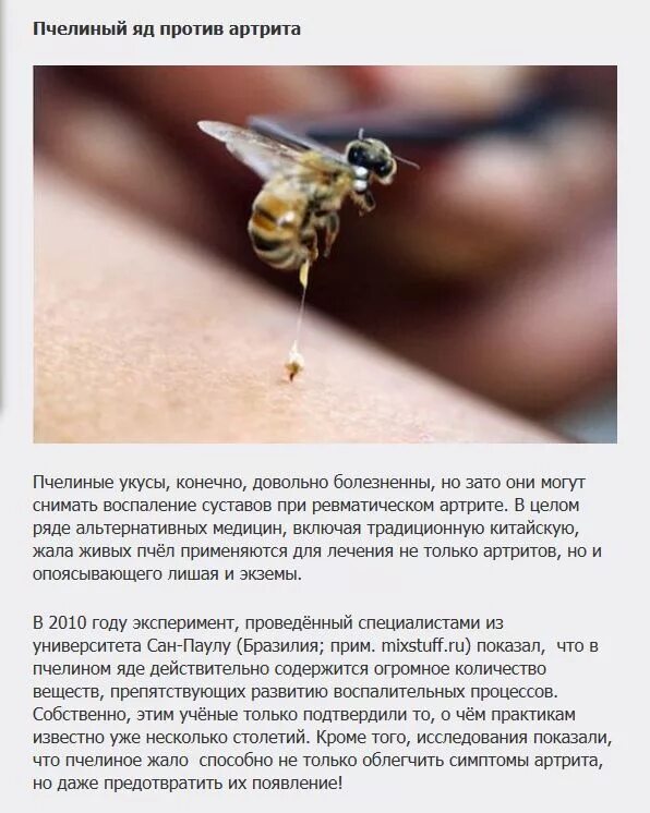 Укус пчелы лечение