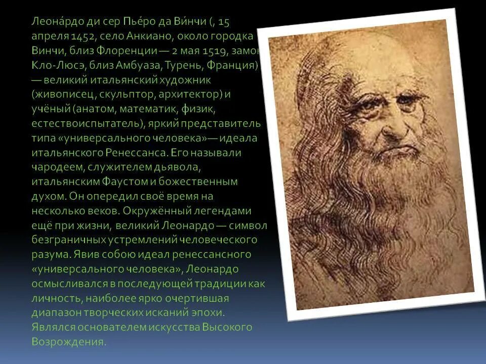 Туринский портрет леонардо да винчи. Леонардо да винчи автопортрет 1512. Леонардо да винчи автопортрет. Леонардо да винчи (1456-1519),. Откуда родом леонардо.