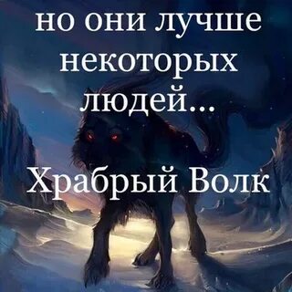 Храбрый волк