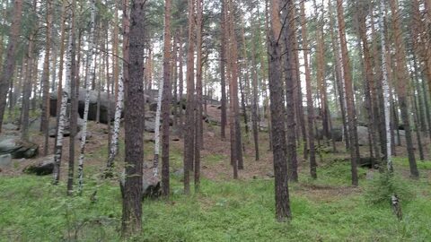 Каменная гора вологодская область