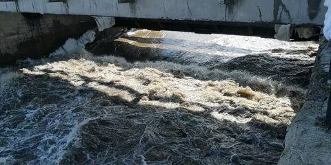Уровень реки алей рубцовск