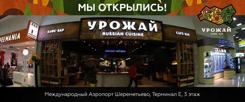 Кафе урожай